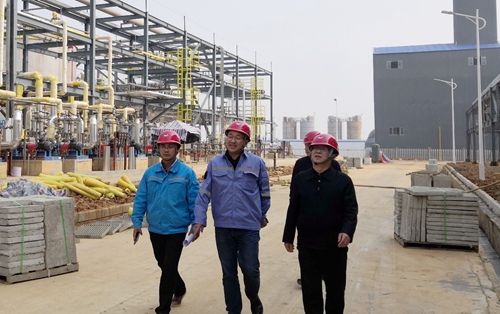 王大真到松滋肥業(yè)、楚星公司、新材料公司和股份公司現(xiàn)場(chǎng)調(diào)研(圖3)