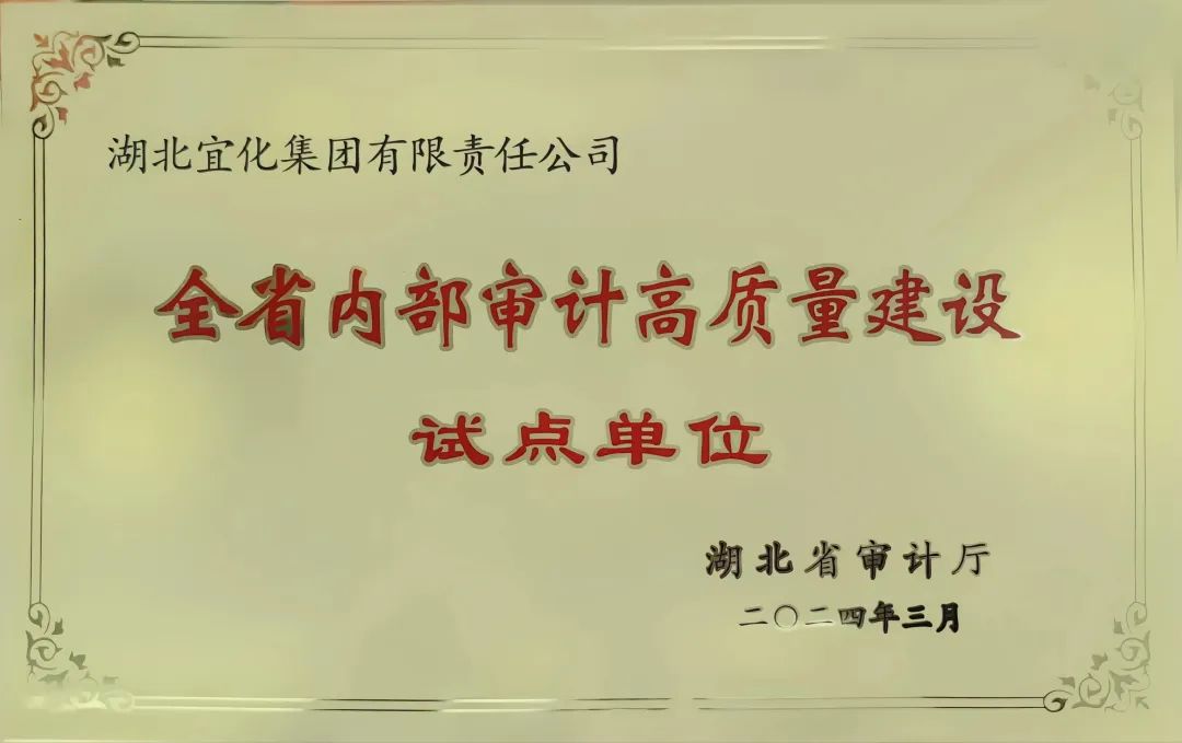宜化集團(tuán)獲評全省內(nèi)部審計高質(zhì)量建設(shè)試點(diǎn)單位(圖2)