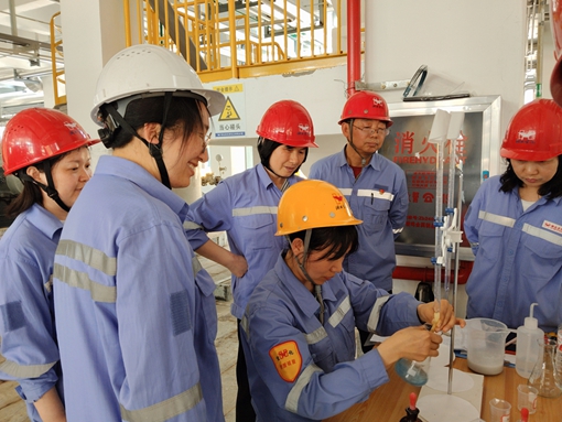 亮身份 亮承諾 亮業(yè)績——宜化黨員一線攻堅(jiān)助推項(xiàng)目“拔節(jié)生長”(圖1)