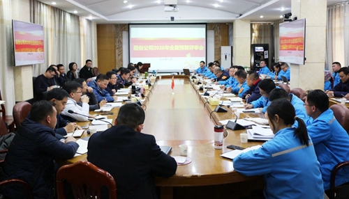 王大真調(diào)研指導(dǎo)股份公司、化機(jī)公司和TMP新項(xiàng)目2020年財務(wù)預(yù)算工作