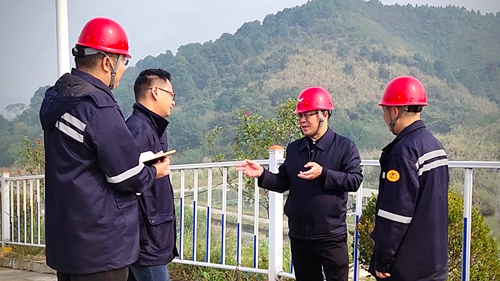 王大真到松滋肥業(yè)、楚星公司、新材料公司和股份公司現(xiàn)場(chǎng)調(diào)研